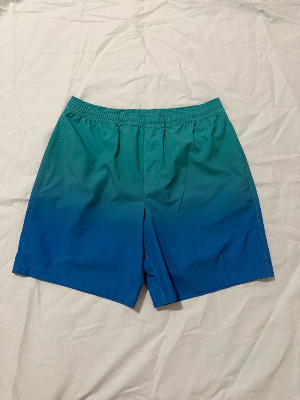 Chubbies Mens Performance 7” shorts with dog print liner